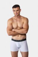 Bóxer Fresh - Código C221